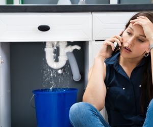 About Sewer Line Pros Forest Knolls, CA